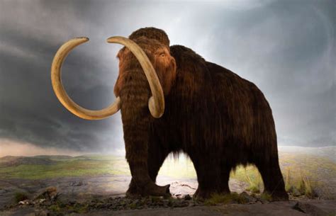 incredible extinct animals