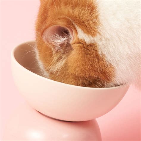 style choose  option blue green pink yellow