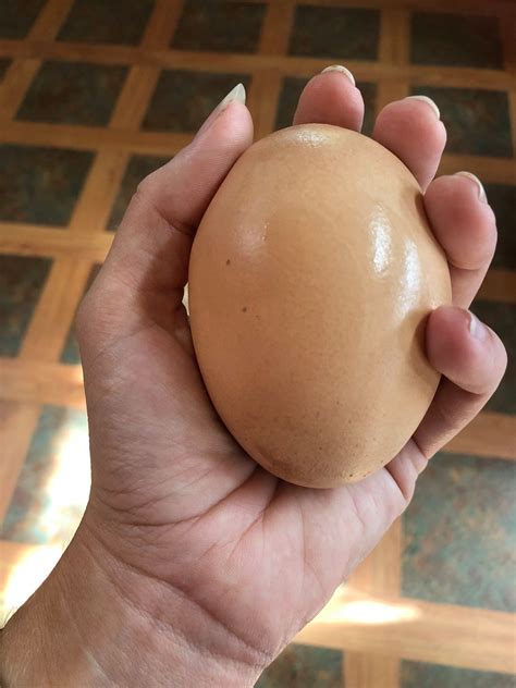 'I've Never Seen Anything Like It': Massive Chicken Egg With A Second ...