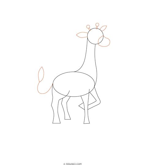 Как нарисовать жирафа поэтапно? 🖌 Рисунки карандашом поэтапно