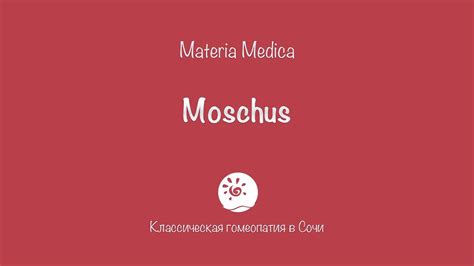 Moschus (Мускус) - YouTube