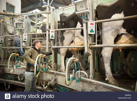 Milking Machine Human High Resolution Stock Photography and Images - Alamy