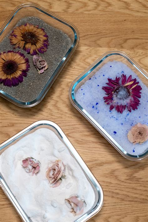 Easily Dry Flowers for Long-Lasting Bouquets with 3 Household Items