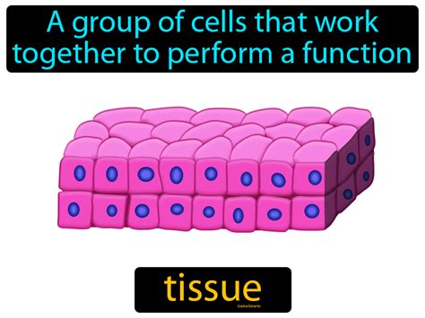 tissue definition image radience