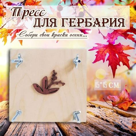 Пресс для гербария. Пресс для листьев, цветов, растений - купить с ...