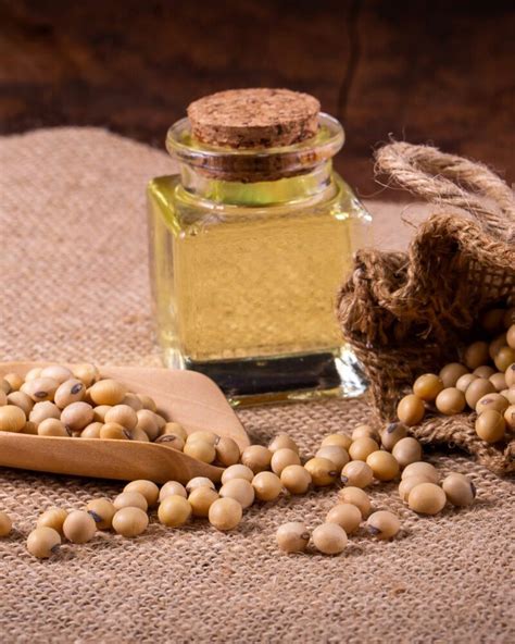 soybean oil bd edible oils