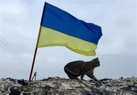 Червень 2022 - UAnimals