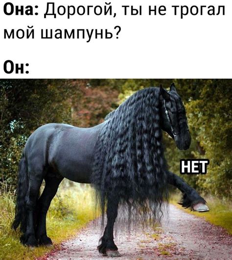 Прикольные картинки ржачные, с надписями, до слез - 8 июля 2021