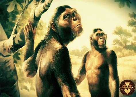 Primeros Humanos