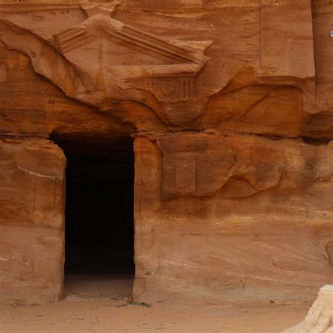 moist area hegra conservation project