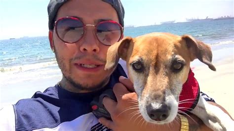 best day ever youtube family net worth