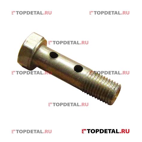 Болт-штуцер на форсунку (евро 2) ММЗ дв.245 240-1104787-Б купить в ...