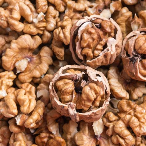 Walnut Finance Dubai
