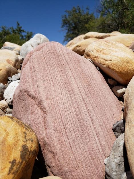 Premium Photo | Close-up of bread on rock against trees