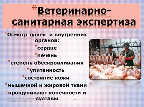 Ветеринарно-санитарная экспертиза мяса птицы и птицепродуктов ...