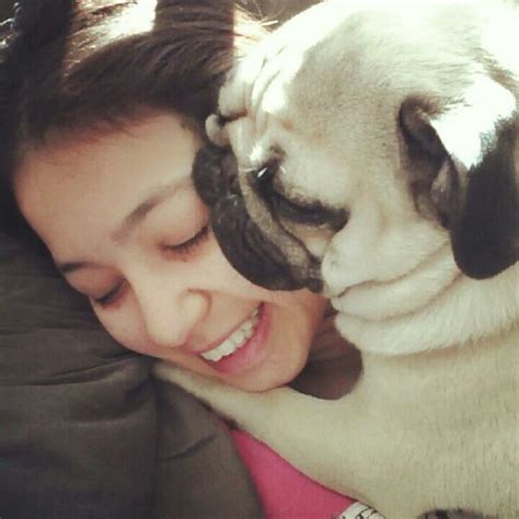 Cómo abrazar a un perro - Cómo educar a un cachorro