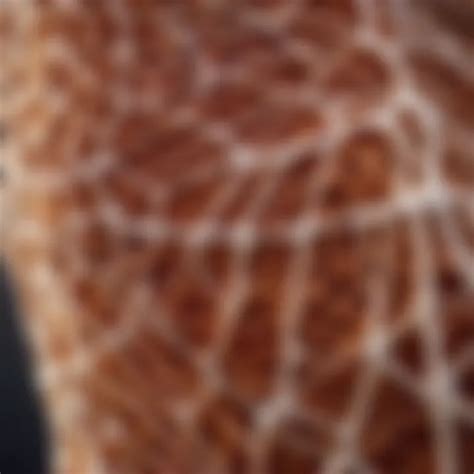 unraveling  significance  fascia  vital connective tissue