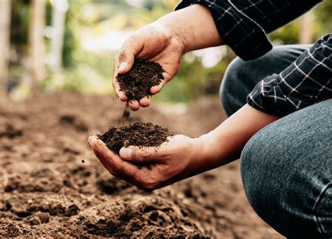 soil conservation nj  marshall hite blog