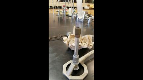 Protein Denaturation - YouTube