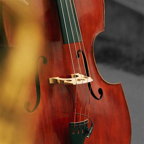 bass bachelor  arts