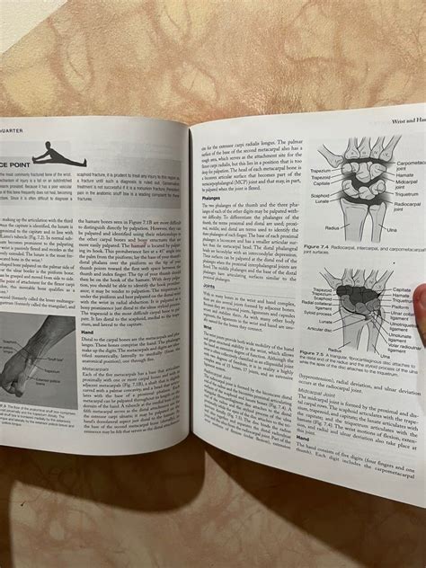 Brunnstrom's Clinical Kinesiology on Carousell