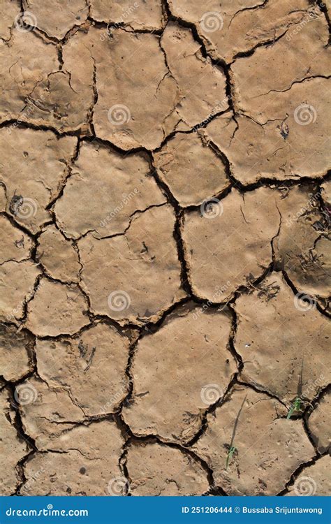 Cracked ground stock photo. Image of clay, land, ecology - 251206444