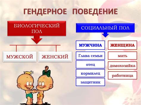 Что такое гендер - презентация онлайн