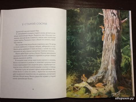 Книга: Весна в лесу - Иван Соколов-Микитов. Купить книгу, читать ...