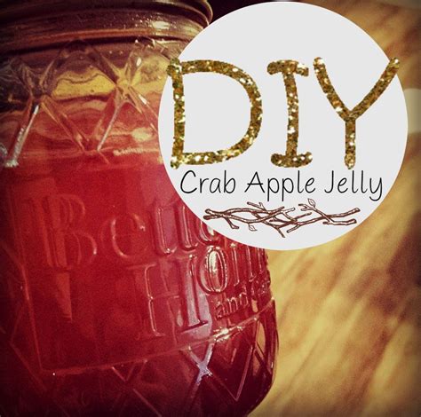 Becca Guffey: DIY Crab Apple Jelly Recipe