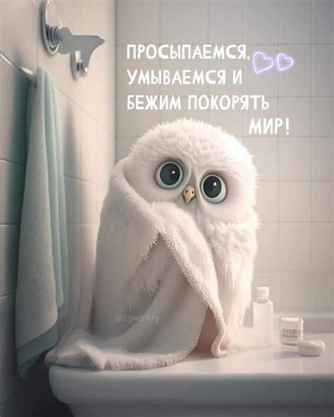 Бежим покорять мир (открытка 478): Бесплатные картинки • Открытки Топ