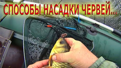 СПОСОБЫ НАСАДКИ ЧЕРВЕЙ...КАК и ГДЕ ИХ ПРИМЕНЯТЬ ! - YouTube