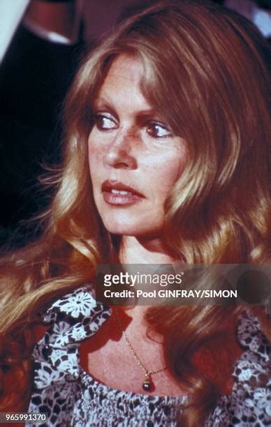 fondation brigitte bardot  high res pictures getty images