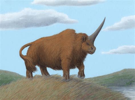 Siberian unicorn — Weasyl