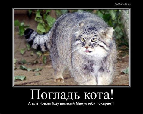 Погладь кота!