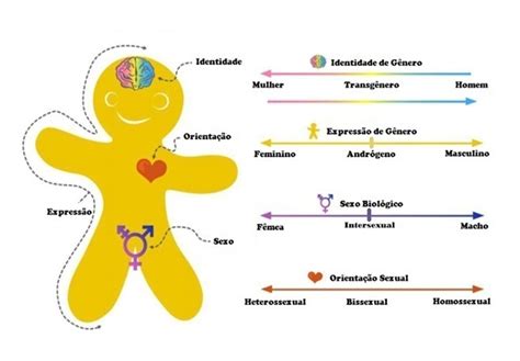 Identidade De Gênero Mulher - 9