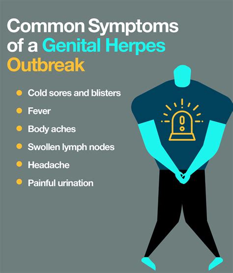 genital herpes symptoms treatment  risks  amino company