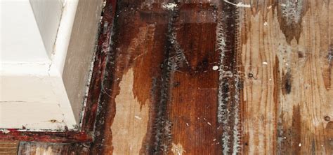 how to know if you have a slab leak