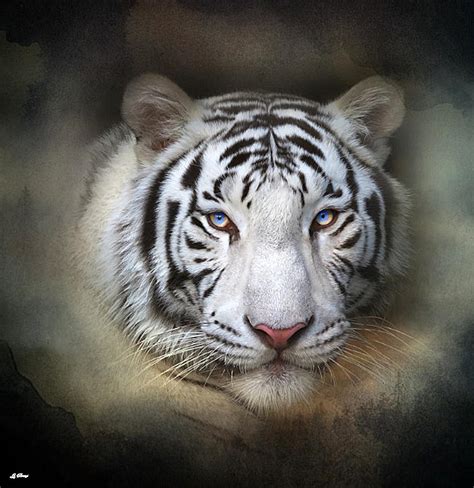 Siberian Beauty 02 Mixed Media by Gayle Berry - Fine Art America