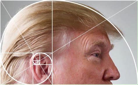 Which math system did leonardo fibonacci introduce yourself essay