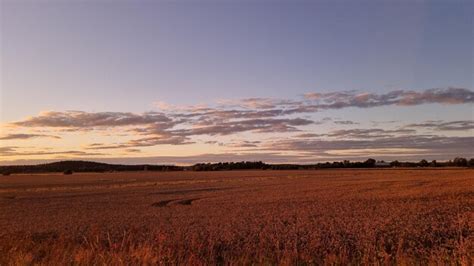 Premium Photo | Savana landscape