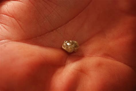585 Diamonds Found in 2014 | Crater of Diamonds State Park | Texarkana ...