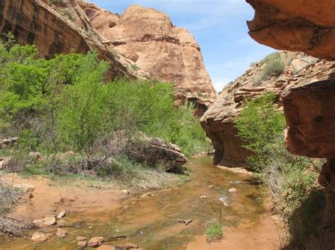 Visiter Moab - Que faire ? TOP 10 des activités + Bons plans