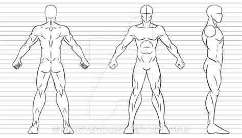 Model Sheet Character Template Drawing - Insanalandia