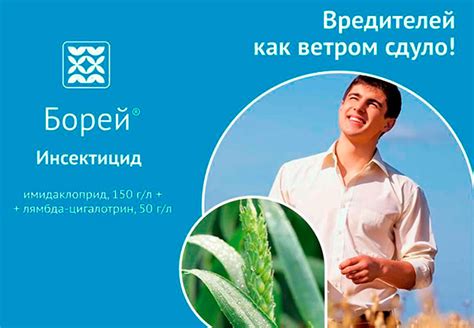 Инсектицид Борей: инструкция по применению