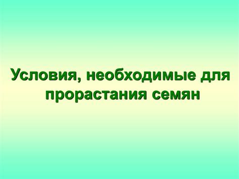 Условия, необходимые для прорастания семян - презентация онлайн