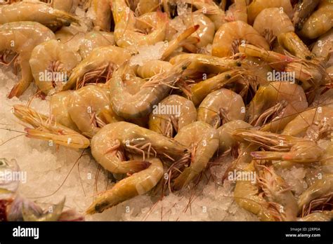 Raw shrimp with head,fresh and ready to cook Stock Photo - Alamy