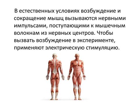 Типы мышечного сокращения - online presentation