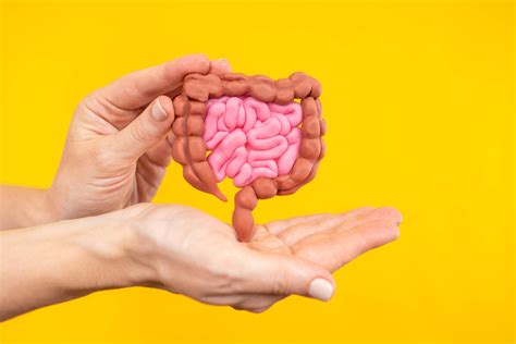 fakta usus  jarang kamu tahu nakedpress