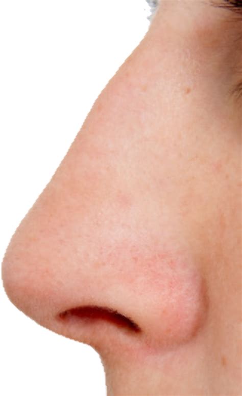 Download High Quality nose clipart shape Transparent PNG Images - Art ...