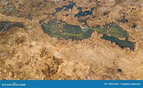 Dirty Swamp Water Texture Background, Green Waste Water Stock ...